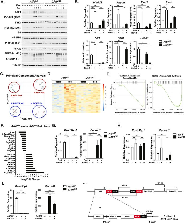 https://cdn.ncbi.nlm.nih.gov/pmc/blobs/0b8a/8368025/86e0f4f178d0/gr6.jpg