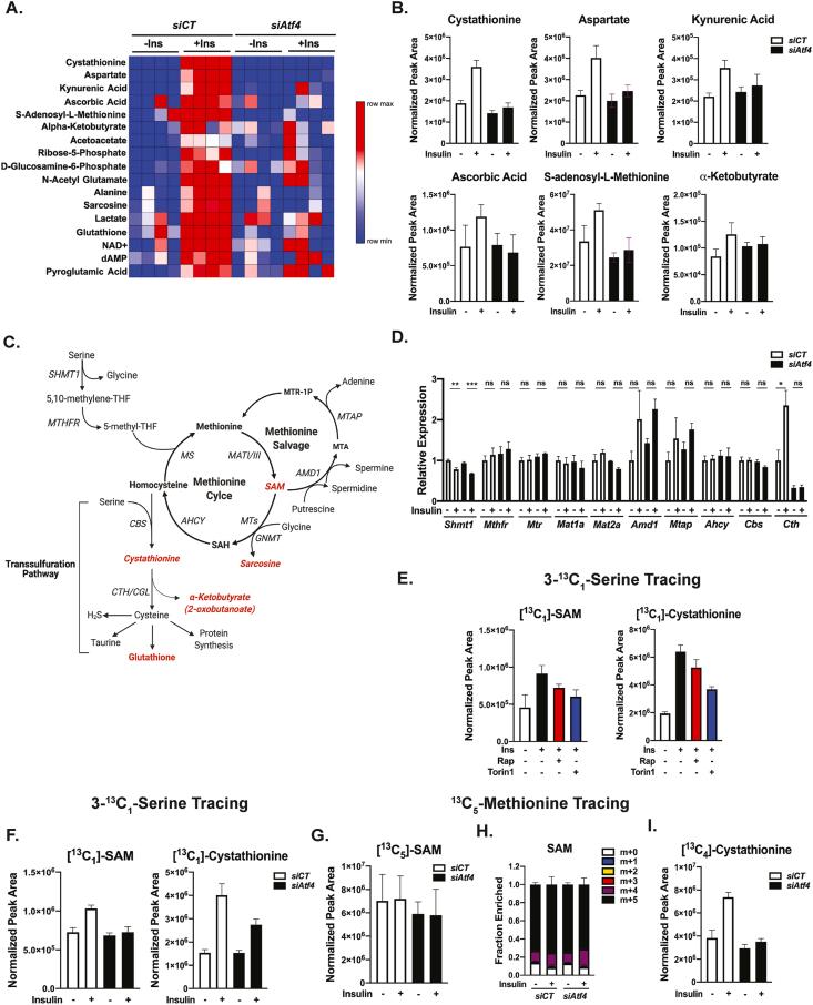 https://cdn.ncbi.nlm.nih.gov/pmc/blobs/0b8a/8368025/a1d691304db8/gr5.jpg