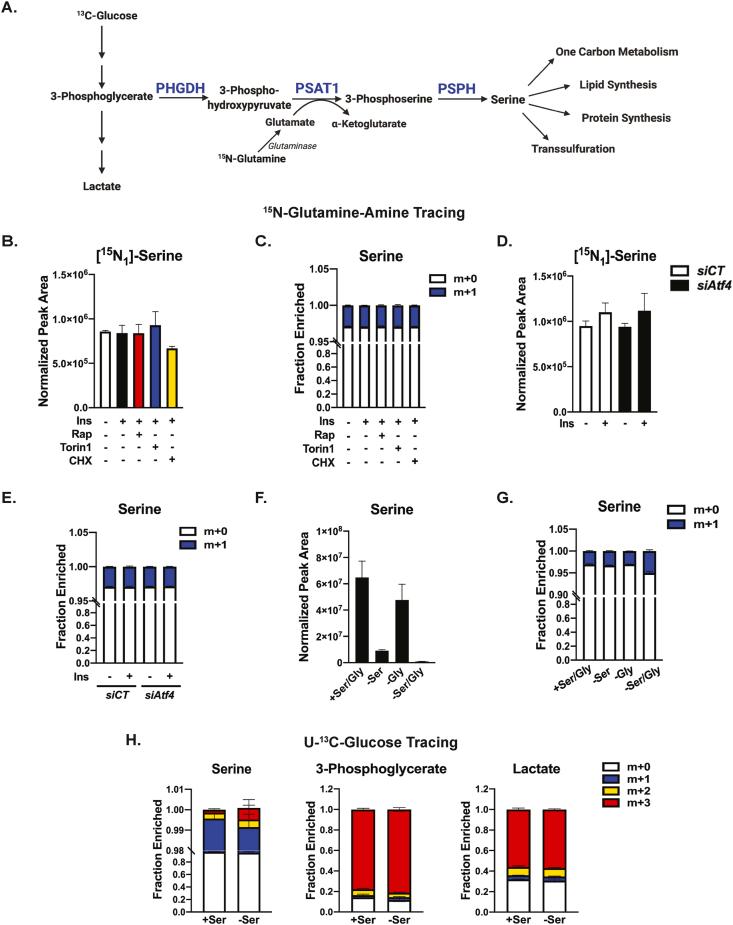 https://cdn.ncbi.nlm.nih.gov/pmc/blobs/0b8a/8368025/c00cb94579ca/gr4.jpg