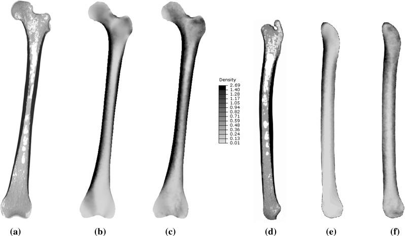 https://cdn.ncbi.nlm.nih.gov/pmc/blobs/0b8b/5021760/2363623bfded/10237_2015_740_Fig3_HTML.jpg