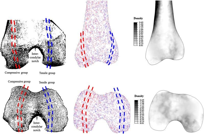 https://cdn.ncbi.nlm.nih.gov/pmc/blobs/0b8b/5021760/dfb497fd38cc/10237_2015_740_Fig6_HTML.jpg