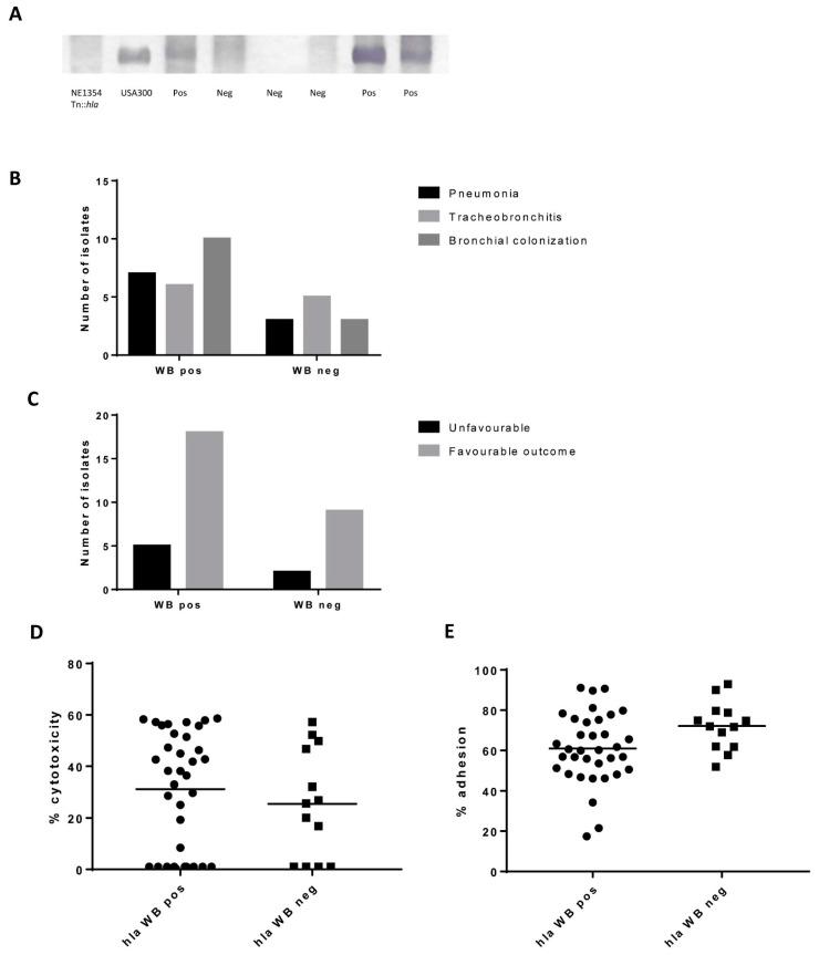 https://cdn.ncbi.nlm.nih.gov/pmc/blobs/0b8b/7915691/9e0b8a66e13b/toxins-13-00122-g005.jpg