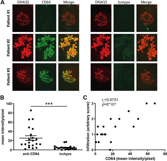 https://cdn.ncbi.nlm.nih.gov/pmc/blobs/0b8d/10468866/f00362c831a3/13075_2023_3147_Fig2_HTML.jpg