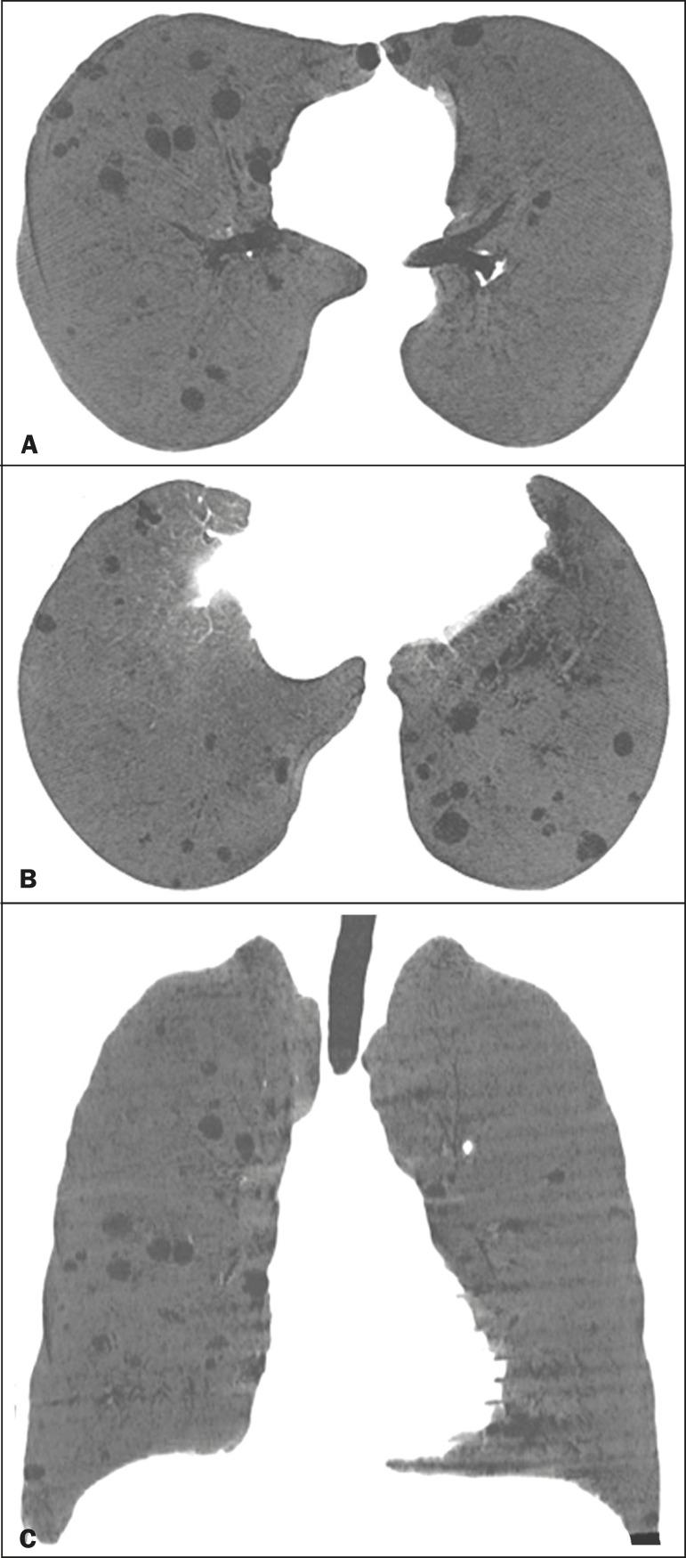 https://cdn.ncbi.nlm.nih.gov/pmc/blobs/0b8d/7545736/6daf516b8abf/rb-53-05-0287-g02.jpg