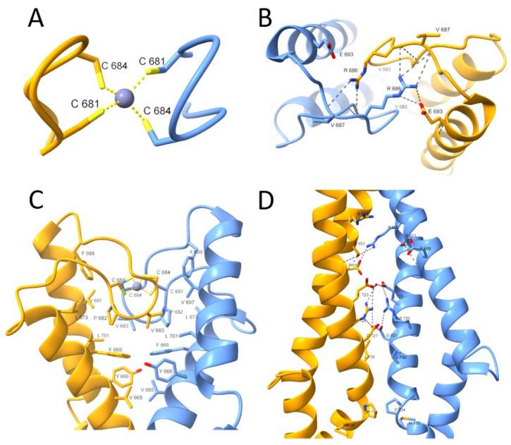 https://cdn.ncbi.nlm.nih.gov/pmc/blobs/0b8d/9569753/fcd3e0e65758/ijms-23-11140-g002.jpg
