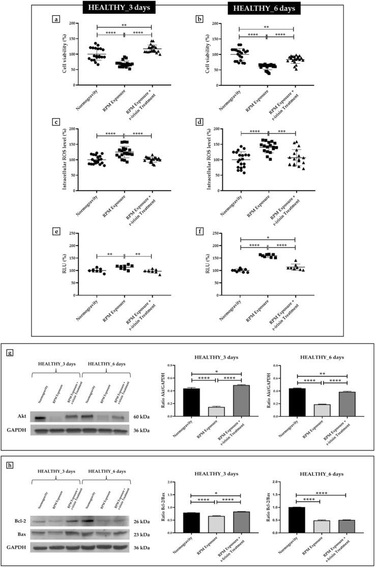 https://cdn.ncbi.nlm.nih.gov/pmc/blobs/0b8f/10052411/99ef5885cca6/fphys-14-1107933-g001.jpg