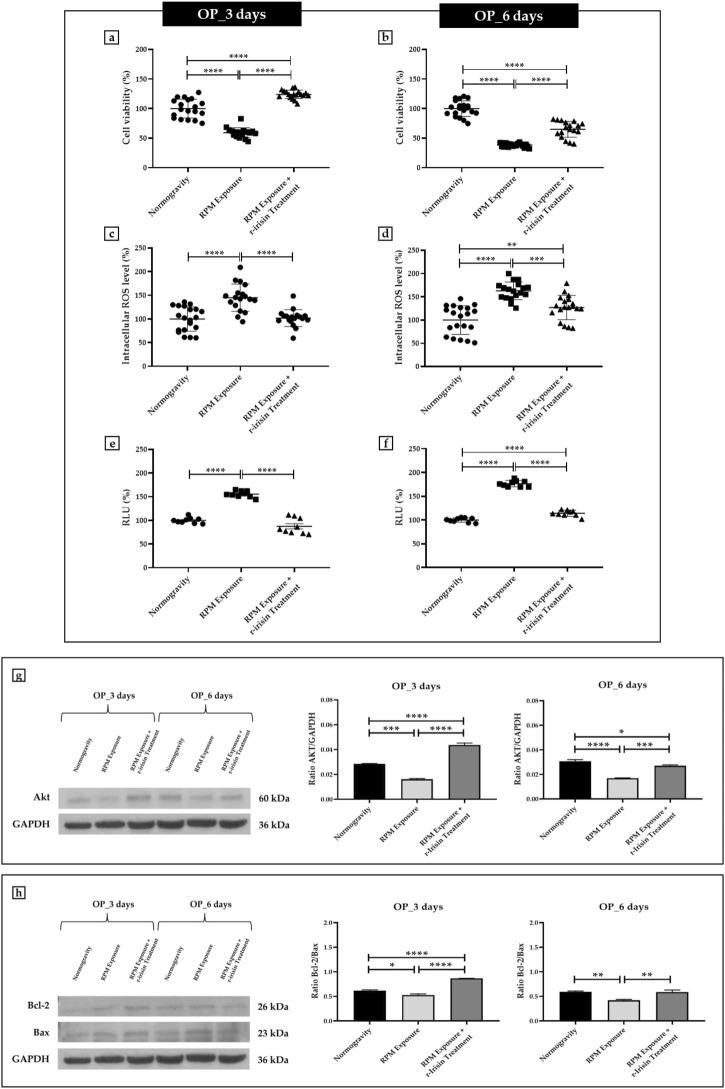 https://cdn.ncbi.nlm.nih.gov/pmc/blobs/0b8f/10052411/b7c9315bd970/fphys-14-1107933-g002.jpg