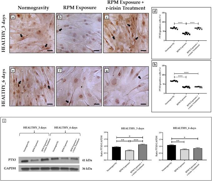 https://cdn.ncbi.nlm.nih.gov/pmc/blobs/0b8f/10052411/ca3aecea739a/fphys-14-1107933-g003.jpg