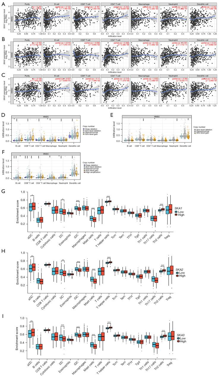 https://cdn.ncbi.nlm.nih.gov/pmc/blobs/0b8f/11651734/6b34e42ebdbb/tcr-13-11-6057-f4.jpg