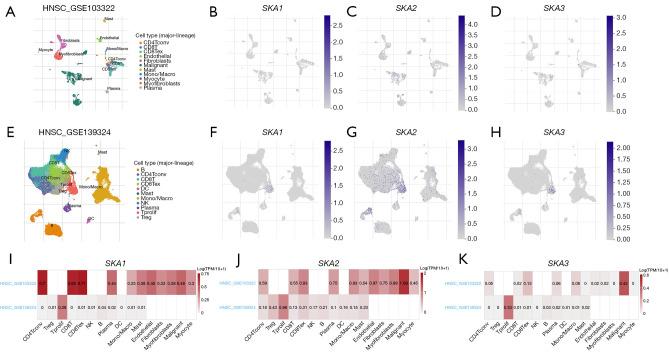 https://cdn.ncbi.nlm.nih.gov/pmc/blobs/0b8f/11651734/f601c70a02bc/tcr-13-11-6057-f5.jpg