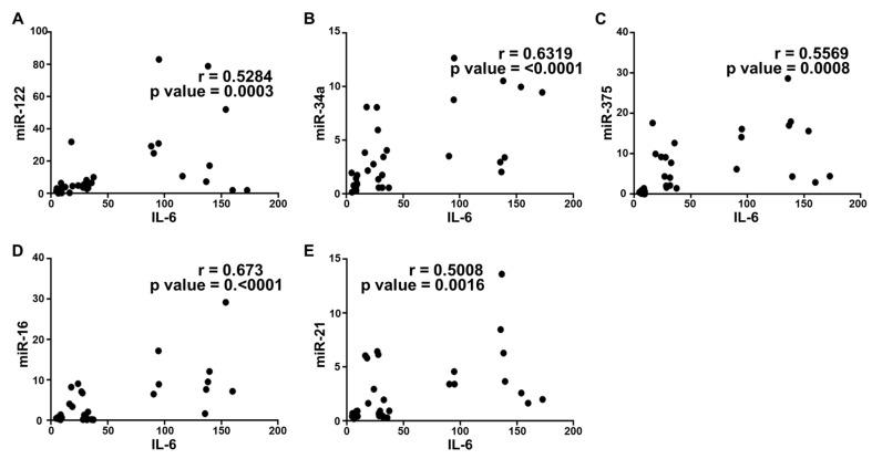 https://cdn.ncbi.nlm.nih.gov/pmc/blobs/0b8f/7554851/45d533ab69ad/ijms-21-06698-g003.jpg