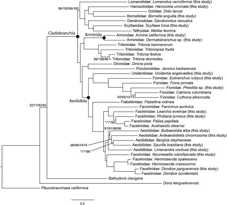 https://cdn.ncbi.nlm.nih.gov/pmc/blobs/0b91/5659023/6f4aba800bed/12862_2017_1066_Fig2_HTML.jpg