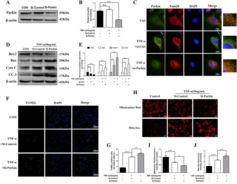 https://cdn.ncbi.nlm.nih.gov/pmc/blobs/0b91/6155159/441689175ccd/41419_2018_1024_Fig3_HTML.jpg