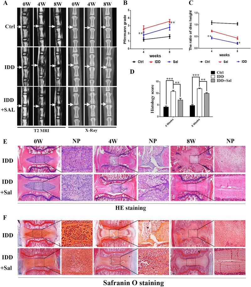 https://cdn.ncbi.nlm.nih.gov/pmc/blobs/0b91/6155159/de0ac3678b6d/41419_2018_1024_Fig7_HTML.jpg