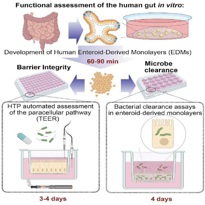 https://cdn.ncbi.nlm.nih.gov/pmc/blobs/0b95/8313751/ac2ec3406d34/fx1.jpg