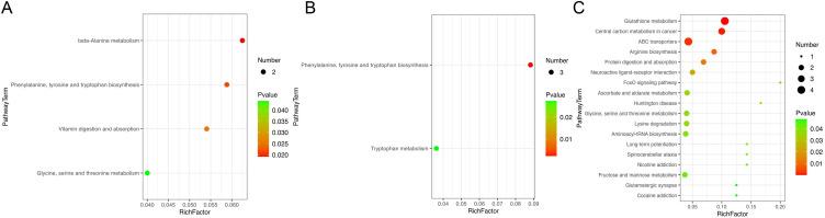https://cdn.ncbi.nlm.nih.gov/pmc/blobs/0b96/11734503/fa5bcb33d419/CMAR-17-45-g0004.jpg