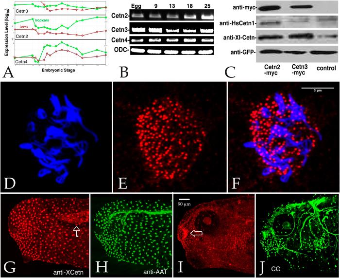 https://cdn.ncbi.nlm.nih.gov/pmc/blobs/0b96/4650658/0f5a3b4cf1cf/srep10283-f1.jpg