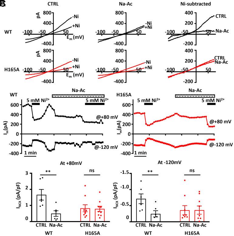 https://cdn.ncbi.nlm.nih.gov/pmc/blobs/0b97/12280879/7158f43713fe/pnas.2423203122fig03.jpg
