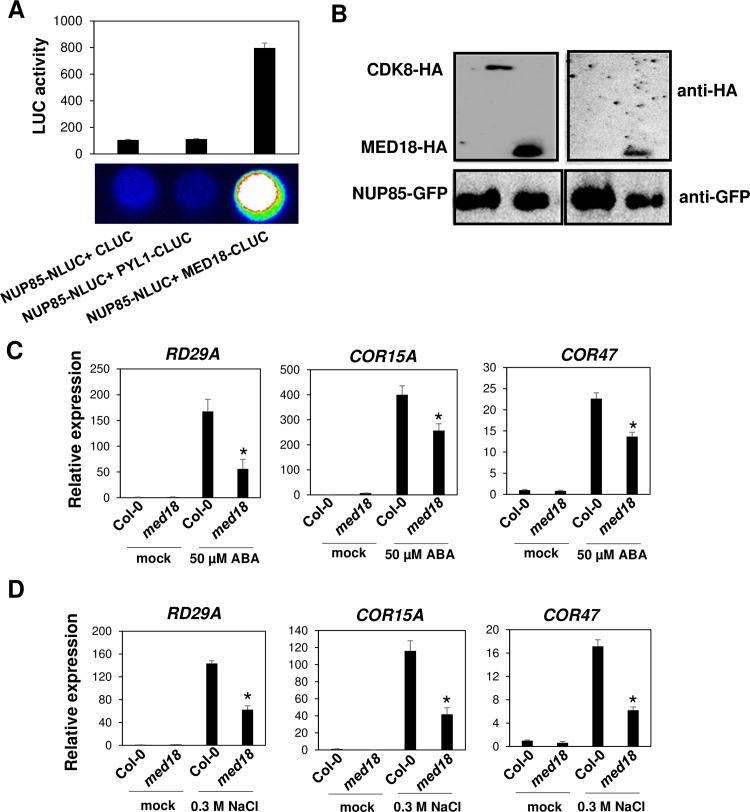 https://cdn.ncbi.nlm.nih.gov/pmc/blobs/0b98/5741264/08e9abfaec76/pgen.1007124.g007.jpg