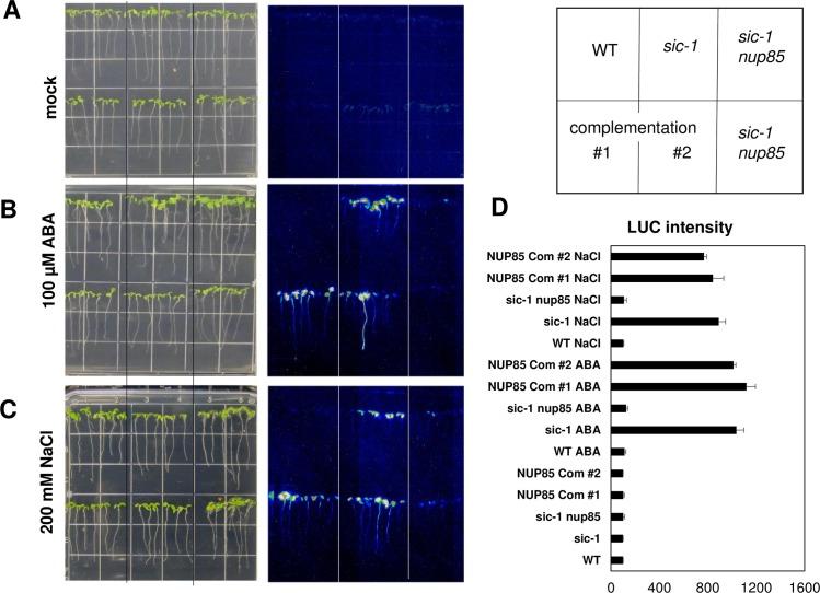 https://cdn.ncbi.nlm.nih.gov/pmc/blobs/0b98/5741264/0d04c26aa2c4/pgen.1007124.g002.jpg