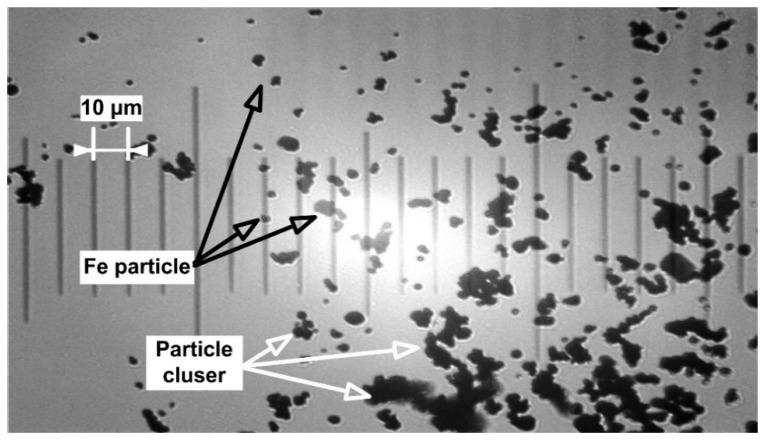 https://cdn.ncbi.nlm.nih.gov/pmc/blobs/0b98/6650837/2dd8bac6c62c/molecules-24-02509-g007.jpg