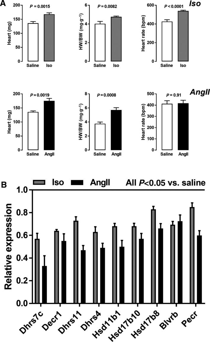 https://cdn.ncbi.nlm.nih.gov/pmc/blobs/0b99/6168690/ba5fa5096ed0/FEB4-8-1624-g004.jpg