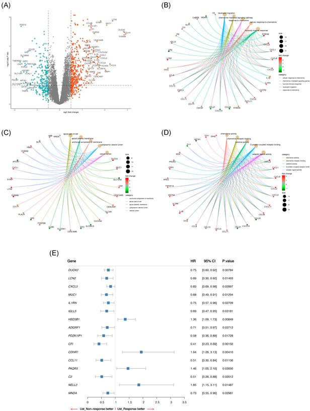 https://cdn.ncbi.nlm.nih.gov/pmc/blobs/0b9a/8589399/bfbfb52f38ef/IID3-9-1529-g004.jpg
