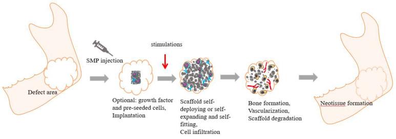 https://cdn.ncbi.nlm.nih.gov/pmc/blobs/0b9a/9920657/f7ff60c4f9ce/polymers-15-00556-g002.jpg