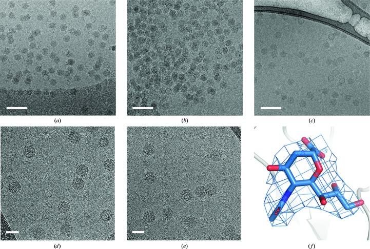 https://cdn.ncbi.nlm.nih.gov/pmc/blobs/0b9c/6096488/64a40ed072c8/d-74-00560-fig4.jpg