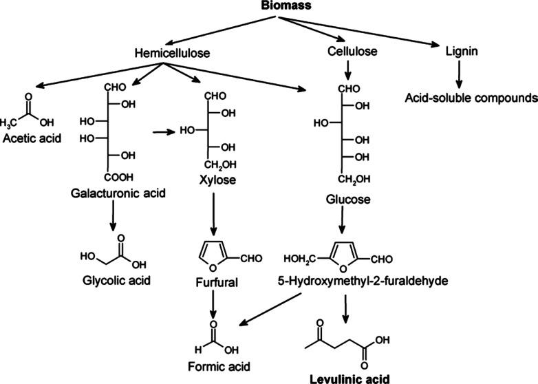 https://cdn.ncbi.nlm.nih.gov/pmc/blobs/0b9e/11966312/553608e7b115/ao4c10616_0002.jpg