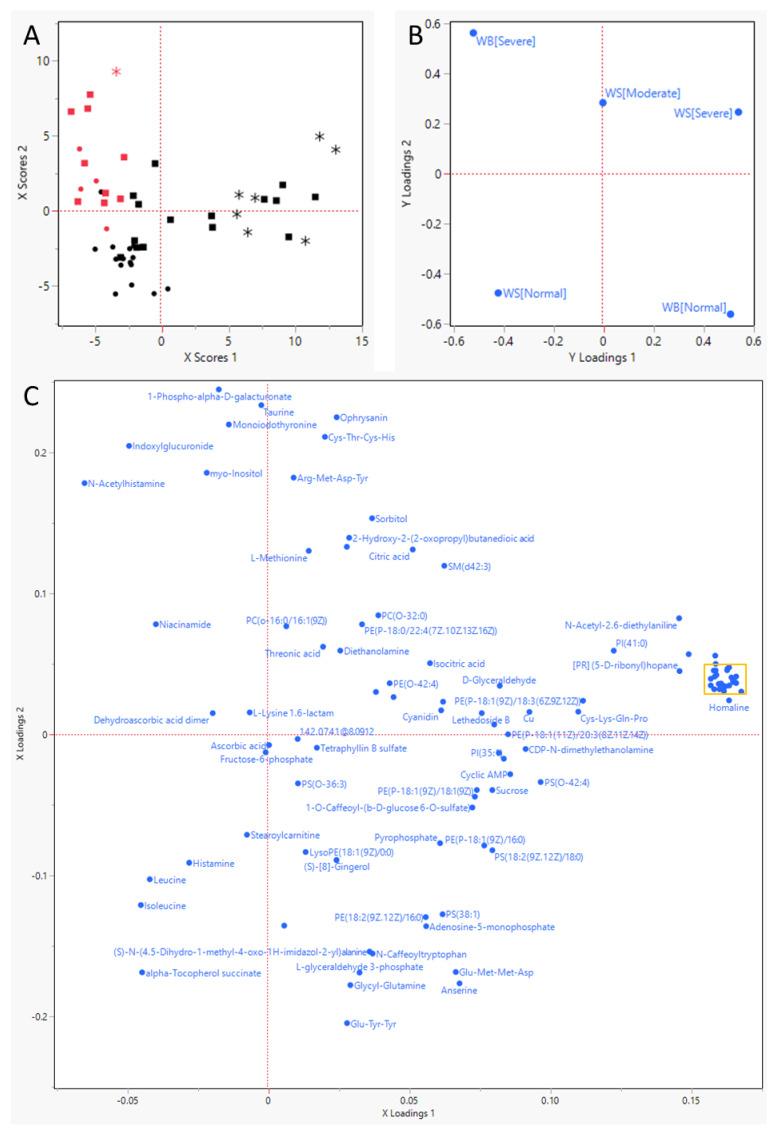 https://cdn.ncbi.nlm.nih.gov/pmc/blobs/0ba0/9862534/a7cd0f0a456f/metabolites-13-00020-g001a.jpg