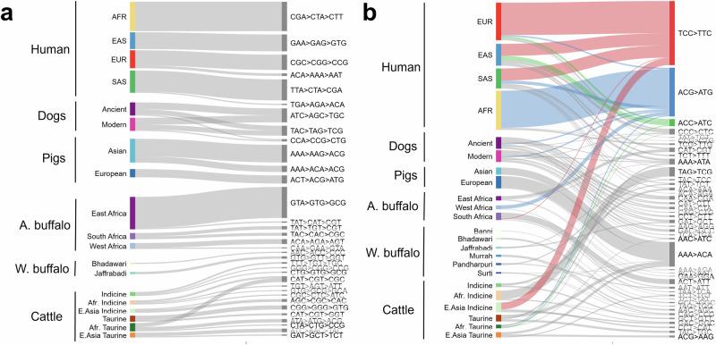 https://cdn.ncbi.nlm.nih.gov/pmc/blobs/0ba1/12084637/8909760165c8/42003_2025_8181_Fig5_HTML.jpg