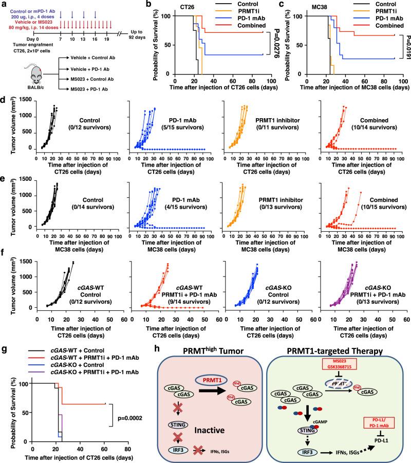 https://cdn.ncbi.nlm.nih.gov/pmc/blobs/0ba3/10188589/0754877ce245/41467_2023_38443_Fig7_HTML.jpg