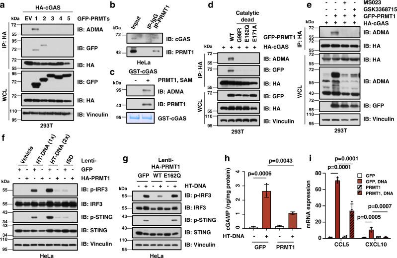 https://cdn.ncbi.nlm.nih.gov/pmc/blobs/0ba3/10188589/a1a753741953/41467_2023_38443_Fig1_HTML.jpg