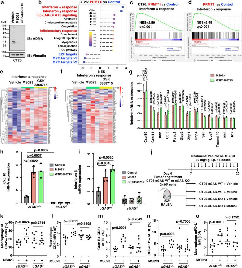 https://cdn.ncbi.nlm.nih.gov/pmc/blobs/0ba3/10188589/e2adbbccbf25/41467_2023_38443_Fig5_HTML.jpg