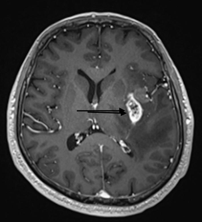 https://cdn.ncbi.nlm.nih.gov/pmc/blobs/0ba3/12211279/5bc7d34d18cb/13256_2025_5375_Fig2_HTML.jpg
