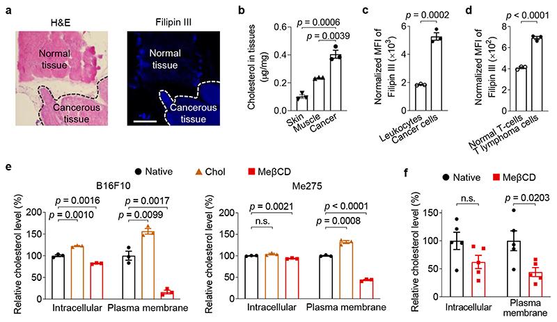 https://cdn.ncbi.nlm.nih.gov/pmc/blobs/0ba3/7612108/00444dbcb50a/EMS137630-f001.jpg