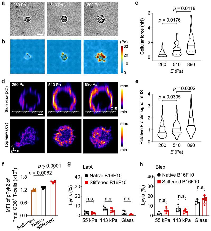 https://cdn.ncbi.nlm.nih.gov/pmc/blobs/0ba3/7612108/662504b561e1/EMS137630-f006.jpg