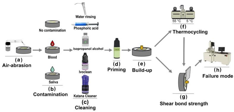 https://cdn.ncbi.nlm.nih.gov/pmc/blobs/0ba3/8838745/80c2e51f78f0/materials-15-01023-g001.jpg