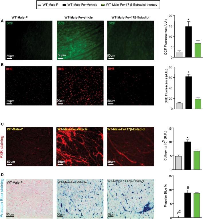 https://cdn.ncbi.nlm.nih.gov/pmc/blobs/0ba4/5523622/51ed83f1100f/JAH3-6-e003456-g016.jpg