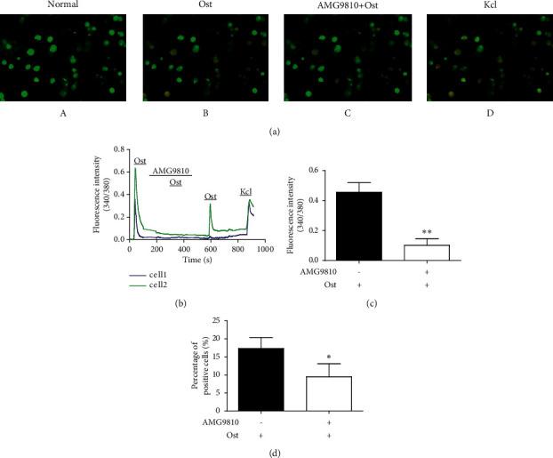 https://cdn.ncbi.nlm.nih.gov/pmc/blobs/0ba4/8528571/aaf03a769dad/ECAM2021-4012812.005.jpg