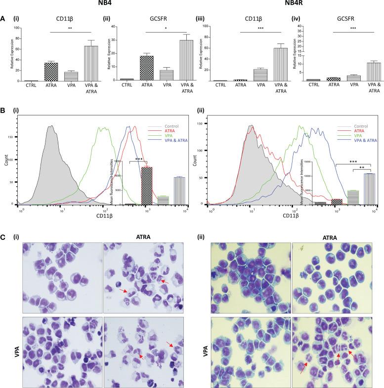 https://cdn.ncbi.nlm.nih.gov/pmc/blobs/0ba4/8907478/02fbecb2fecf/fonc-12-848517-g001.jpg
