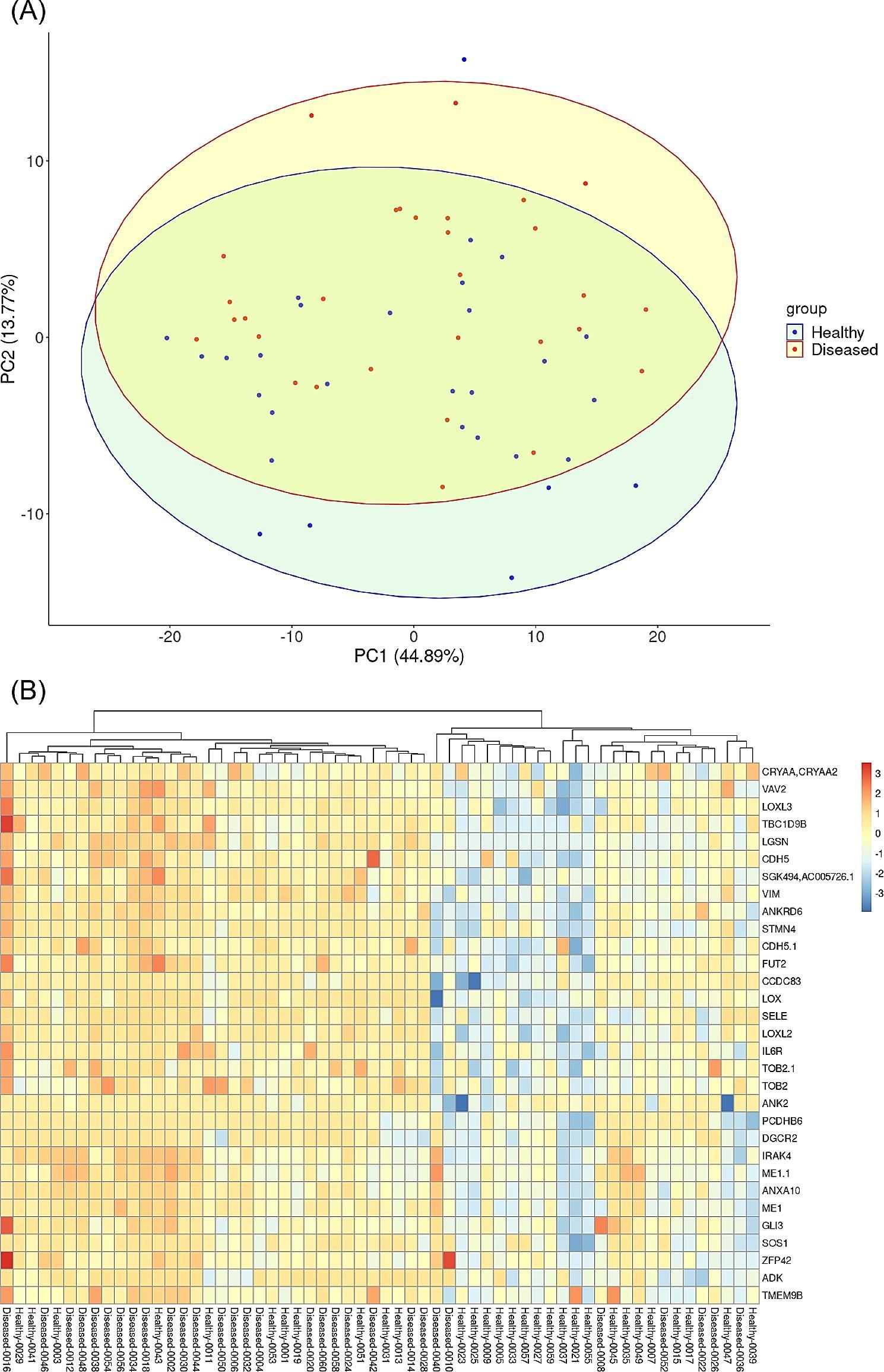 https://cdn.ncbi.nlm.nih.gov/pmc/blobs/0ba5/10826272/7e2aecd3c92e/12886_2024_3314_Fig1_HTML.jpg