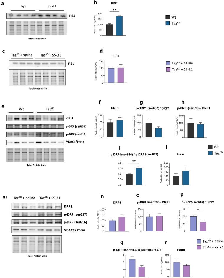 https://cdn.ncbi.nlm.nih.gov/pmc/blobs/0ba7/11176169/2ec97fa327ca/41598_2024_64368_Fig2_HTML.jpg