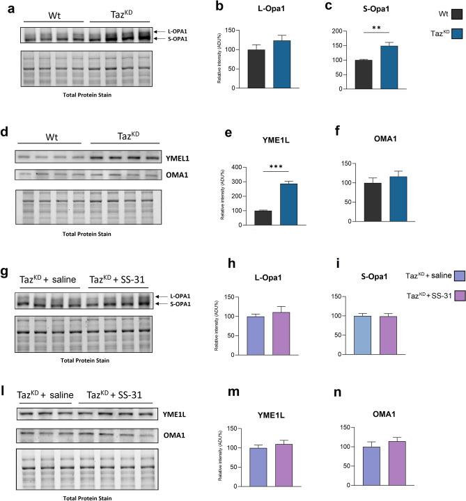 https://cdn.ncbi.nlm.nih.gov/pmc/blobs/0ba7/11176169/78b7bb8c752e/41598_2024_64368_Fig3_HTML.jpg