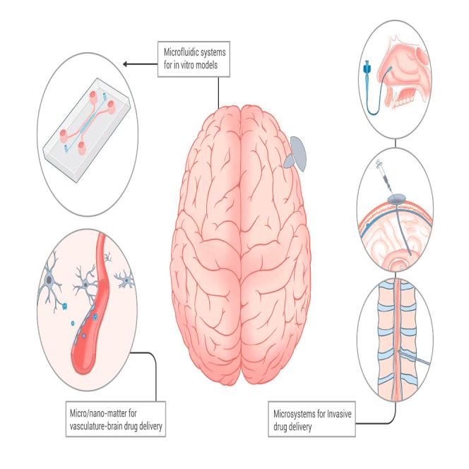 https://cdn.ncbi.nlm.nih.gov/pmc/blobs/0ba8/10757293/194aea9eed12/fx1.jpg