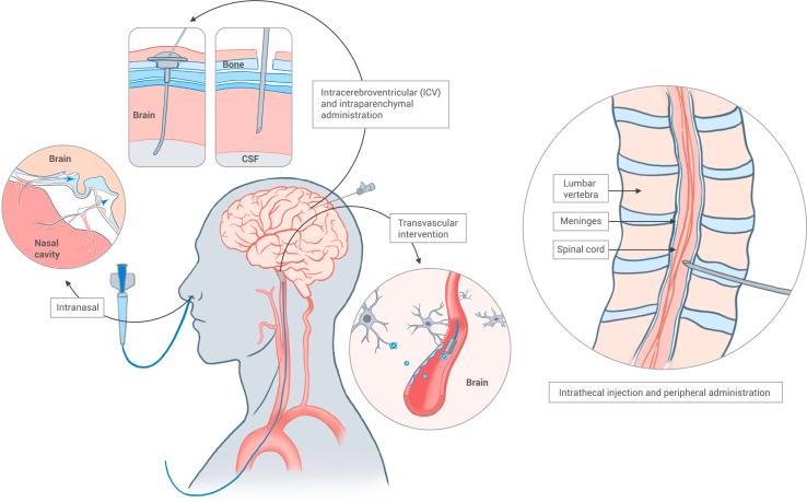https://cdn.ncbi.nlm.nih.gov/pmc/blobs/0ba8/10757293/1a6b01cecdee/gr7.jpg
