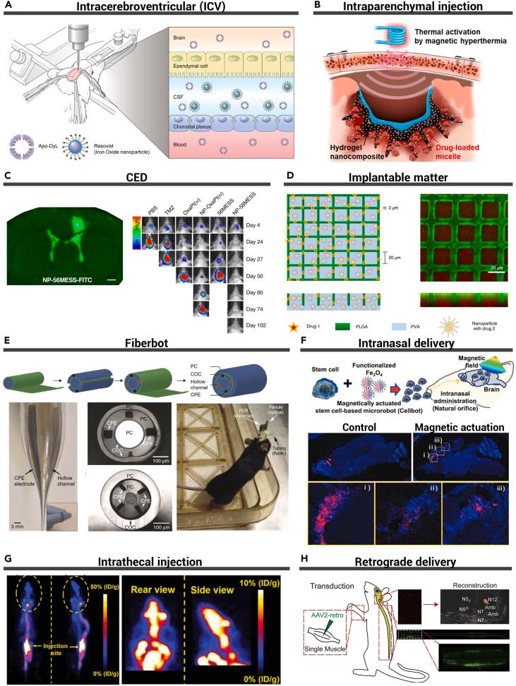 https://cdn.ncbi.nlm.nih.gov/pmc/blobs/0ba8/10757293/8ff6c6aad6fd/gr8.jpg