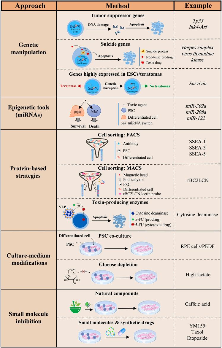 https://cdn.ncbi.nlm.nih.gov/pmc/blobs/0ba8/12277835/3da79a25b464/gr2.jpg