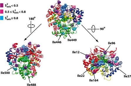 https://cdn.ncbi.nlm.nih.gov/pmc/blobs/0bab/2926596/450b20b6710f/gkq210f4.jpg